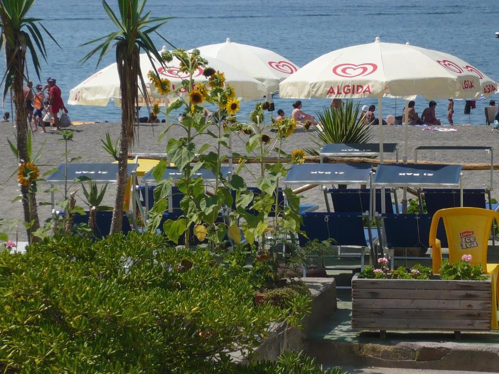 مبيت وإفطار Barano dʼIschia Zi Bak المظهر الخارجي الصورة